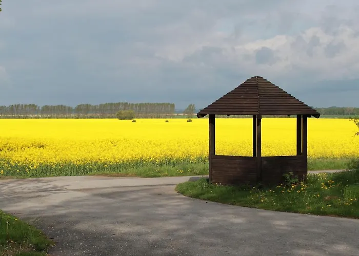 別荘 In Direkt Am Haff